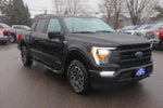 2021 F-150 Thumbnail 7