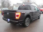 2021 F-150 Thumbnail 6