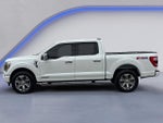 2021 F-150 Thumbnail 12