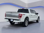 2021 F-150 Thumbnail 13