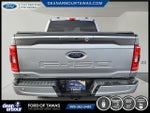 2021 F-150 Thumbnail 18