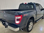 2021 F-150 Thumbnail 18