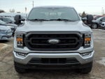 2021 F-150 Thumbnail 8