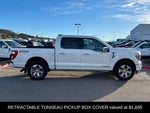 2022 F-150 Thumbnail 7
