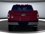 2022 F-150 Thumbnail 5