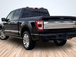 2022 F-150 Thumbnail 10