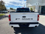 2023 F-150 Thumbnail 4