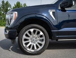 2023 F-150 Thumbnail 4