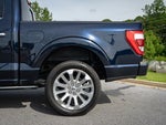 2023 F-150 Thumbnail 6