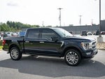 2023 F-150 Thumbnail 12