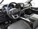 2023 F-150 Thumbnail 8
