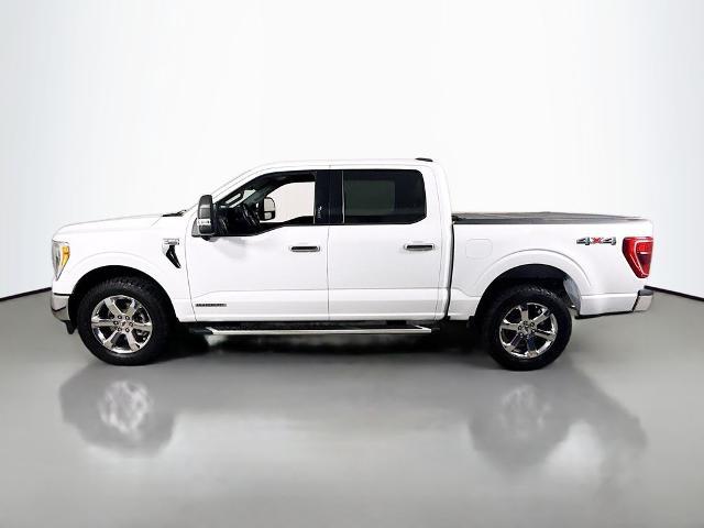 2023 Ford F-150 - $44,500