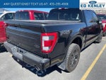 2023 F-150 Thumbnail 4