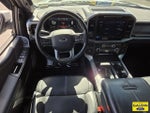 2023 F-150 Thumbnail 13