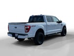 2023 F-150 Thumbnail 5