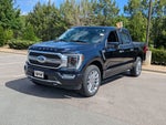 2023 F-150 Thumbnail 8