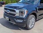 2023 F-150 Thumbnail 10