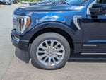 2023 F-150 Thumbnail 11