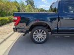2023 F-150 Thumbnail 40