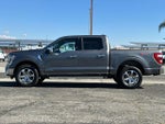 2023 F-150 Thumbnail 6