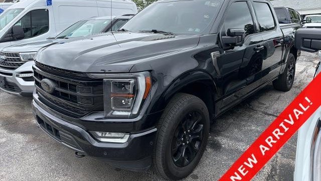 Preowned 2023 Ford F-150 XL for Sale