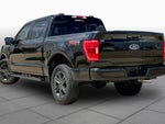 2023 F-150 Thumbnail 12