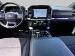 2023 F-150 Thumbnail 15