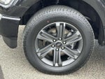 2023 F-150 Thumbnail 6