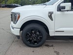 2023 F-150 Thumbnail 11