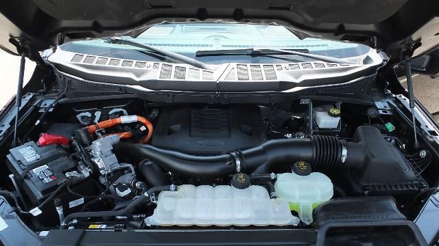 2023 Ford F-150 Limited