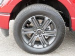 2023 F-150 Thumbnail 10