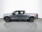 2023 F-150 Thumbnail 4