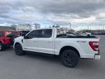 2023 F-150 Thumbnail 4