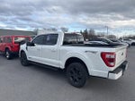 2023 F-150 Thumbnail 5
