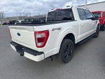 2023 F-150 Thumbnail 12