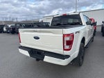 2023 F-150 Thumbnail 11