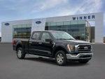 2023 F-150 Thumbnail 4