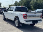 2023 F-150 Thumbnail 4
