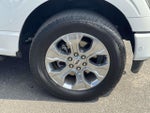 2023 F-150 Thumbnail 9