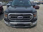 2023 F-150 Thumbnail 1