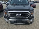 2023 F-150 Thumbnail 2