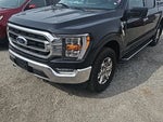 2023 F-150 Thumbnail 5