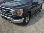 2023 F-150 Thumbnail 6