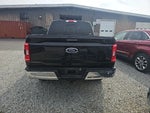 2023 F-150 Thumbnail 9