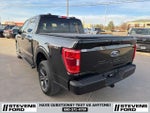 2023 F-150 Thumbnail 8