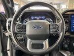 2023 F-150 Thumbnail 6