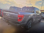 2023 F-150 Thumbnail 2