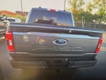 2023 F-150 Thumbnail 10