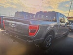 2023 F-150 Thumbnail 13