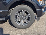 2023 F-150 Thumbnail 9